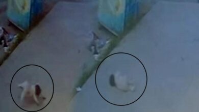 tekirdagda fec olay 5inci kattan dusen bebek oldu 3Ge4O4e2