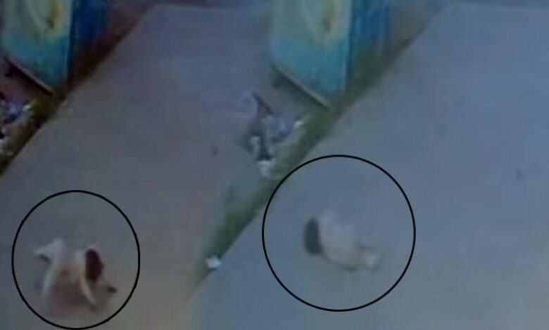Tekirdağ'da fecî olay! 5'inci kattan düşen bebek öldü 1 tekirdagda fec olay 5inci kattan dusen bebek oldu 3Ge4O4e2
