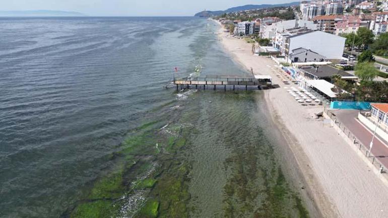 Tekirdağ'da mavi bayraklı plaj sayısı 10'a yükseldi 2 tekirdagda mavi bayrakli plaj sayisi 10a yukseldi 0 SpFt7IUa