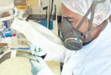 urartu yapitlari ziyaretciyle bulusacak d7mmDREq