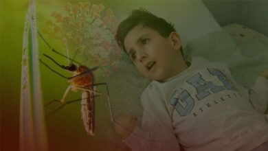 uyurken isiran sinek nasil felc birakti kuslardan alip tasimis asisi da ilaci da yok bjUDbWhX