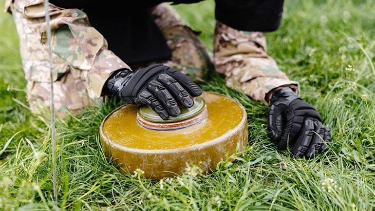 Yapraklarıyla alarm veriyor! Ispanağı dedektöre dönüştürdü: 'Altını da bombayı da bulur' 5 yapraklariyla alarm veriyor ispanagi dedektore donusturdu altini da bombayi da bulur 3 W3Ct1N4W