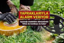 yapraklariyla alarm veriyor ispanagi dedektore donusturdu altini da bombayi da bulur J3HUG3yD
