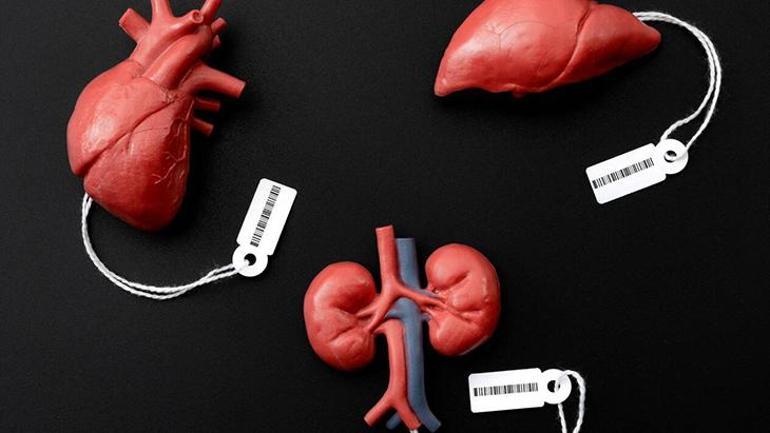 Yaşamak istedi, bedeli insanlık hatası oldu! Kanlı organ nakli kâbusu: 'Bilmiyordum' 3 yasamak istedi bedeli insanlik hatasi oldu kanli organ nakli k busu bilmiyordum 1 SapEKgQy