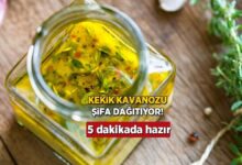 zeytinyagli kekik kavanozu sifa dagitiyor kahvaltinin yildizi 5 dakikada hazir Sp87ETHx