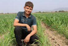 14 yasinda 300 donumluk arazinin isvereni bana nazaran hos bir ugras xeanQnvb
