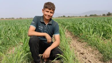 14 yasinda 300 donumluk arazinin isvereni bana nazaran hos bir ugras xeanQnvb
