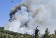 2 kentte yangin panigi havadan ve karadan mudahale basladi did3dvbT