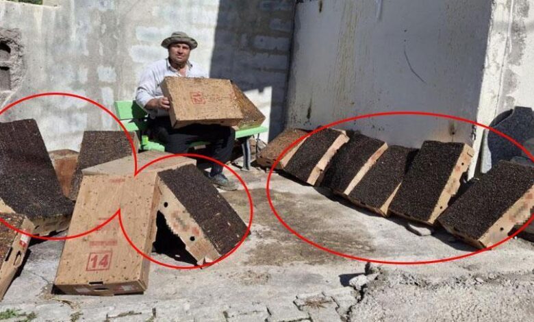 Adanalı mucit köy girişine yerleştirdi! '15 dakikada 4 karton doldu' 1 adanali mucit koy girisine yerlestirdi 15 dakikada 4 karton doldu GaSQBxcW