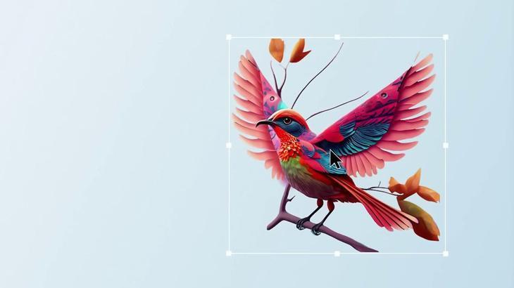 Adobe Firefly uygulaması iOS ve Android için çıktı 1 adobe firefly uygulamasi ios ve android icin cikti BgLvMIur