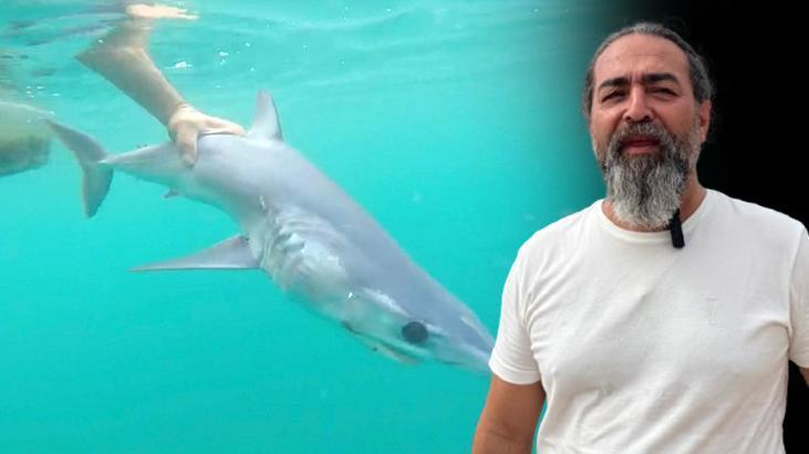 akdeniz kiyilarinda gorulen kopek baliklarinin sirri aciklama geldi GF8lRaEZ