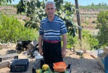 alanyada papaya hasadi basladi RNtY7BRr