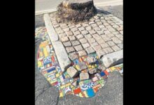 ankara sokaklarinda fransiz esintisi DtIVNtH4