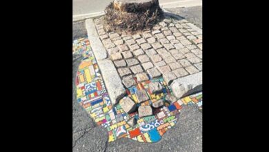 ankara sokaklarinda fransiz esintisi DtIVNtH4