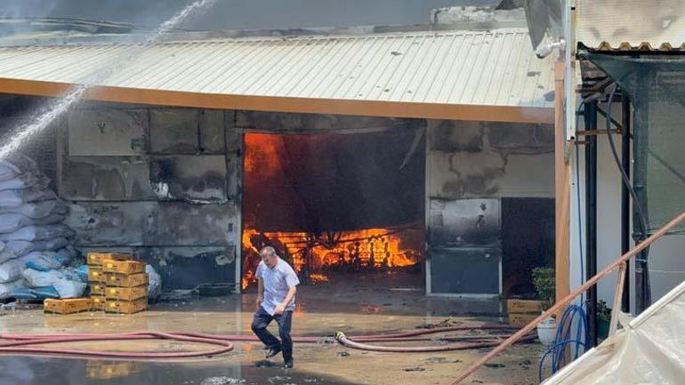 Antalya'da gökyüzünü siyah dumanlar kapladı! Yangına karşı vakitle yarış 4 antalyada gokyuzunu siyah dumanlar kapladi yangina karsi vakitle yaris 2 mlPeQ6g3