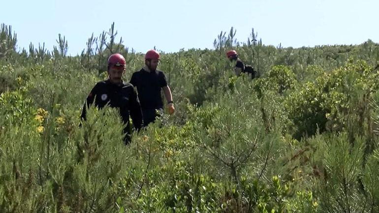 Aydos Ormanı'nda kayboldu! 2 gündür aranıyor 2 aydos ormaninda kayboldu 2 gundur araniyor 0 tueze4Yf