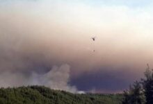 bilecikteki orman yangininda 3 gozalti z2sZM8Bu