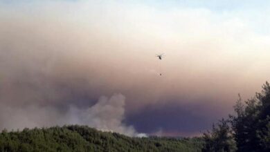 bilecikteki orman yangininda 3 gozalti z2sZM8Bu