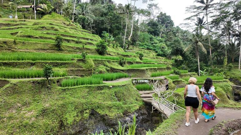 Bir görüntüyle Bali'ye taşındılar! Artık şirket kuruyorlar: 'Türklere büyük sempati var' 5 bir goruntuyle baliye tasindilar artik sirket kuruyorlar turklere buyuk sempati var 3 lT8XjAZk