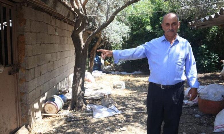 ‘Bu benim en uysal hayvanım' dedi… Dakikalar sonra yaşananlara inanamadı 1 bu benim en uysal hayvanim dedi dakikalar sonra yasananlara inanamadi TUGEivIV
