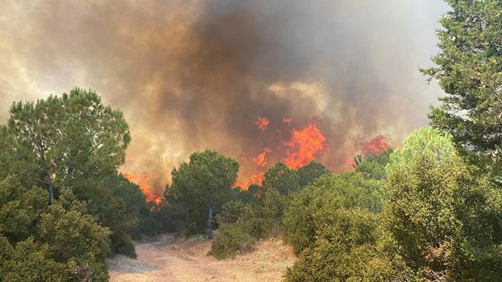 Çanakkale'de orman yangının! 7 uçak, 3 helikopterle müdahale 1 canakkalede orman yanginin 7 ucak 3 helikopterle mudahale AIyOOskT