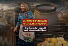 cernobilden nasil patates misir fiskirdi guc savaslari basladi uzak olan tehlikede NBVqVRnc