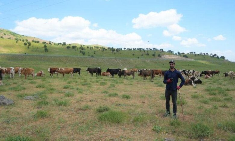 Çoban 1 milyon TL istedi! Şaşkına dönen köylü tahlili bu türlü buldu 1 coban 1 milyon tl istedi saskina donen koylu tahlili bu turlu buldu UW34dgAJ