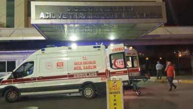 diyarbakirda dehset kiz kaciran gencin annesi olduruldu xi2Ydgb7