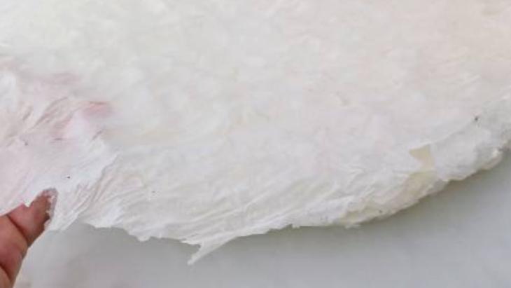 El açması börekleri solladı! Pirinç yufkasıyla çıtır çıtır oluyor, hem de glutensiz 5 el acmasi borekleri solladi pirinc yufkasiyla citir citir oluyor hem de glutensiz 3 2BI3YdzA