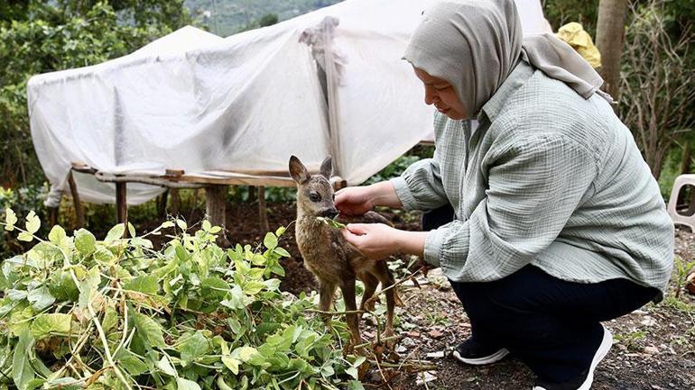 Elleriyle besliyor, çocuğu üzere bakıyor! ‘Anne sütü ısısına gelene kadar bekletiyorum’ 3 elleriyle besliyor cocugu uzere bakiyor anne sutu isisina gelene kadar bekletiyorum 1 6tWONImh