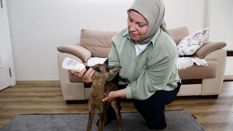 Elleriyle besliyor, çocuğu üzere bakıyor! ‘Anne sütü ısısına gelene kadar bekletiyorum’ 4 elleriyle besliyor cocugu uzere bakiyor anne sutu isisina gelene kadar bekletiyorum 2 LhfIGj9L
