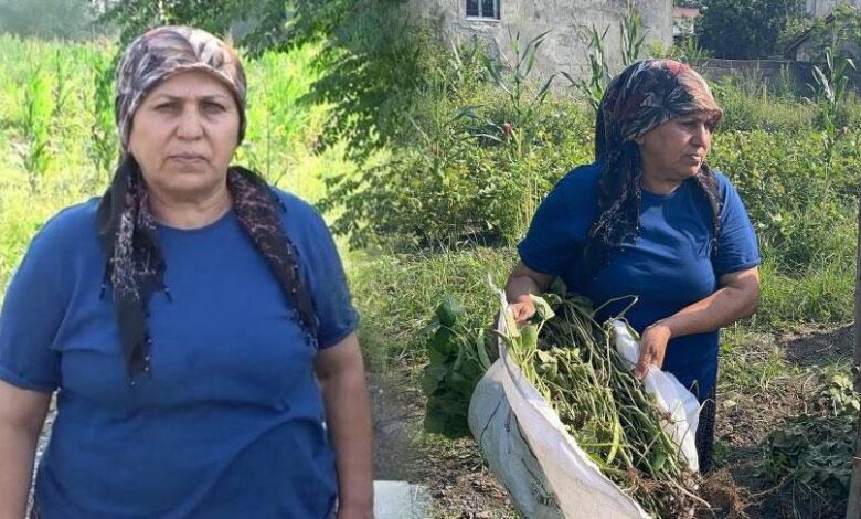 Eşinin cezası onu ilçenin ilk kadın lideri yaptı! ‘Farkla kazandım' 1 esinin cezasi onu ilcenin ilk kadin lideri yapti farkla kazandim vzAtbUL3