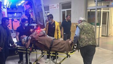 eski muhtar dehset sacti kardesini oldurdu oglu ve obur kardesini yaraladi CO82NIru