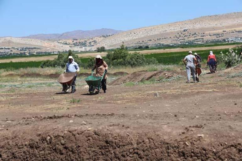 evinde pirincten tasi ayiklayan kadinlar artik elleriyle tarih yaziyor 6 wtLSEK9q