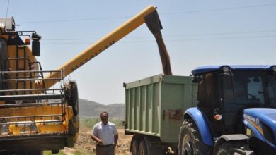 gaziantepte arpa ve bugday hasadi devam ediyor Z5iE45yi