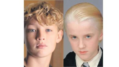 harry potterin en azili dusmani wSycpOP8