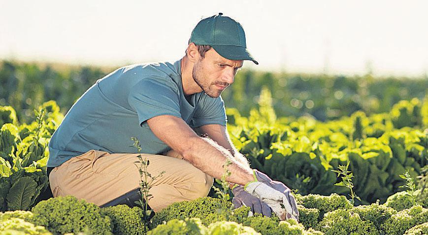 Hasatta gençler var!