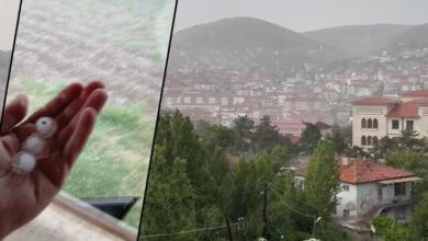 haziran ayinda dolu saskinligi ekili alanlarda ziyana yol acti EQKkTWjl