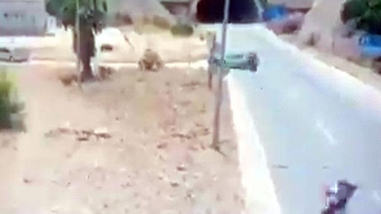 İmgeleri Bakan Yerlikaya paylaşmıştı! Mustafa son seyahatine uğurlandı 3 imgeleri bakan yerlikaya paylasmisti mustafa son seyahatine ugurlandi 1