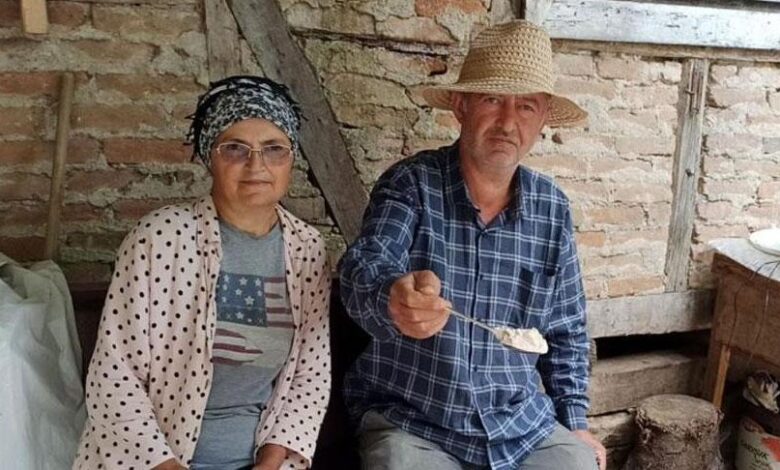 İstanbul’dan köye dönüp bir unsur imza attılar! Kimse ekmiyordu, onlar işveren oldu 1 istanbuldan koye donup bir unsur imza attilar kimse ekmiyordu onlar isveren oldu CM6rCUZU