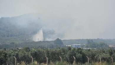 izmir aliagada orman yangini havadan ve karadan mudahale suruyor 6BDnjYrQ