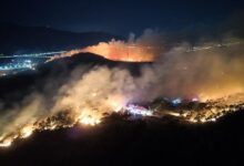 izmirde copluk alanda baslayan yangin ormana sicradi takimlar mudahale ediyor 4fGbBkI9