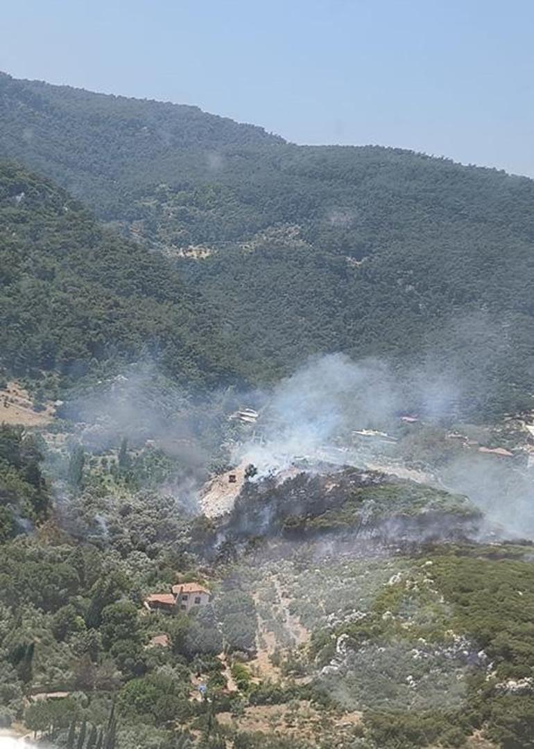 İzmir'de orman yangını! Gruplar sevk edildi 2 izmirde orman yangini gruplar sevk edildi 0 EubuIZY1