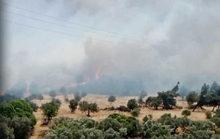 İzmir'de orman yangını! Havadan karadan müdahale 2 izmirde orman yangini havadan karadan mudahale 0 mKndjB5t