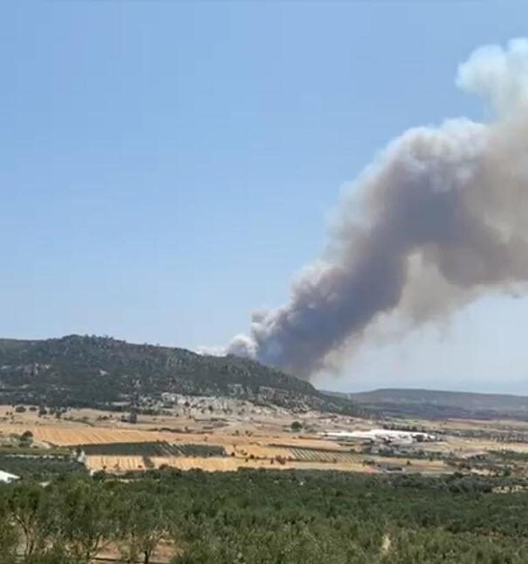 İzmir'de orman yangını! Havadan karadan müdahale 3 izmirde orman yangini havadan karadan mudahale 1