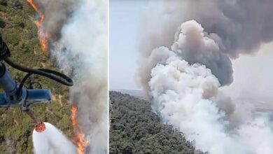 izmirde orman yangini havadan karadan mudahale 2vEhWcRG