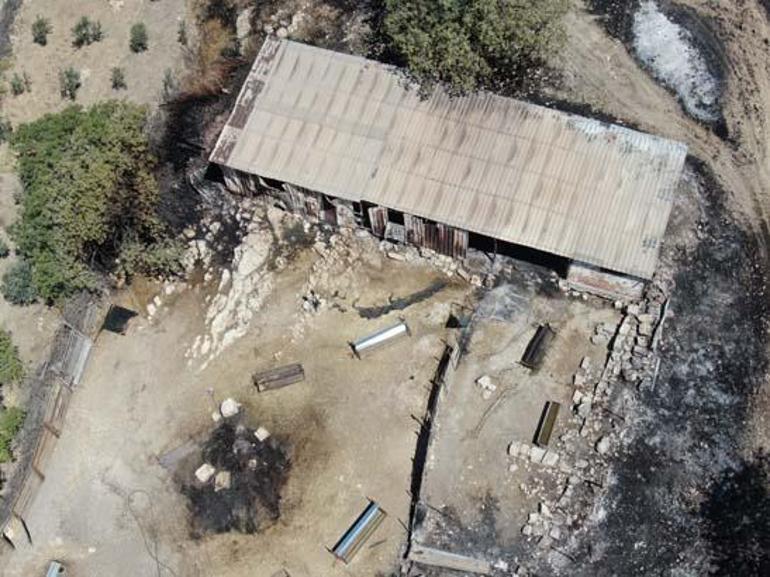 İzmir'de yangının acı bilançosu! Alevler mahalleyi sardı: Cehennemi yaşadık 4 izmirde yanginin aci bilancosu alevler mahalleyi sardi cehennemi yasadik 2 rgAr1Ak3
