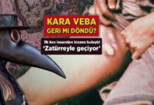 kara veba geri mi dondu birinci kere beserden besere bulasti zaturreyle geciyor cbL59vhC