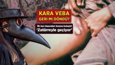 kara veba geri mi dondu birinci kere beserden besere bulasti zaturreyle geciyor cbL59vhC