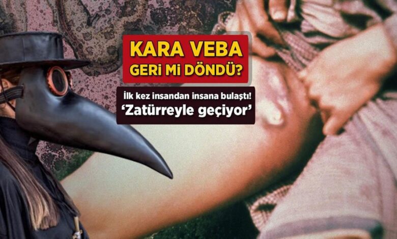 Kara Veba geri mi döndü? Birinci kere beşerden beşere bulaştı: 'Zatürreyle geçiyor' 1 kara veba geri mi dondu birinci kere beserden besere bulasti zaturreyle geciyor cbL59vhC